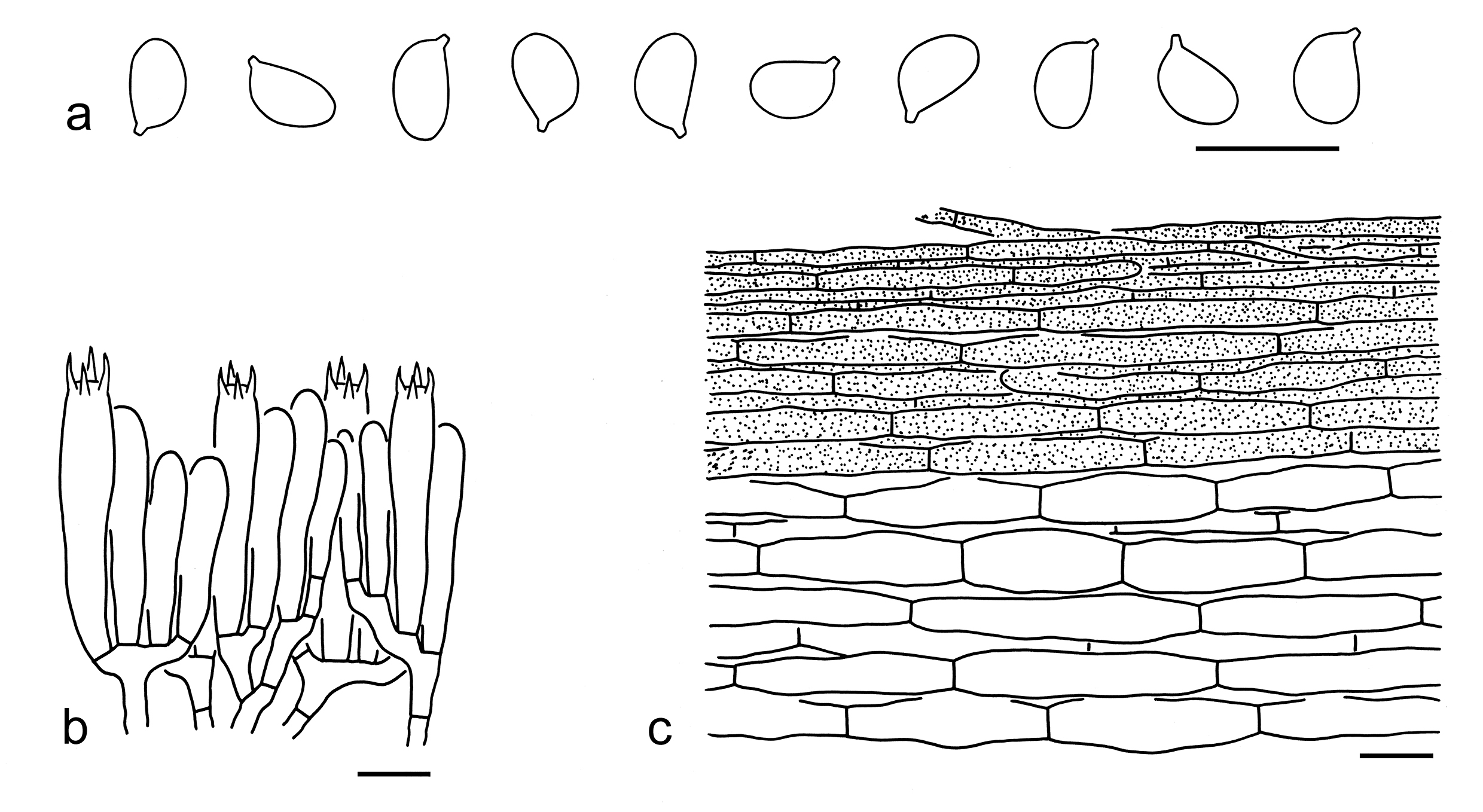 Figure 46